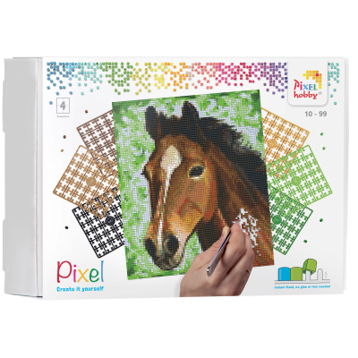 Paard geschenkpakket 4 basisplaten