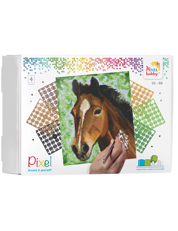 Paard geschenkpakket 4 basisplaten