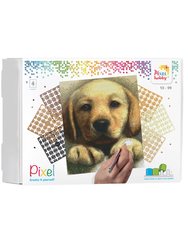 Labrador Pup geschenkpakket 4 Basisplaten