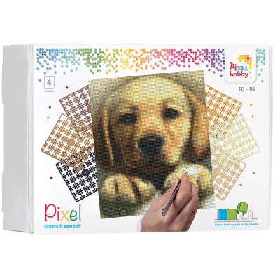 Labrador Pup geschenkpakket 4 Basisplaten