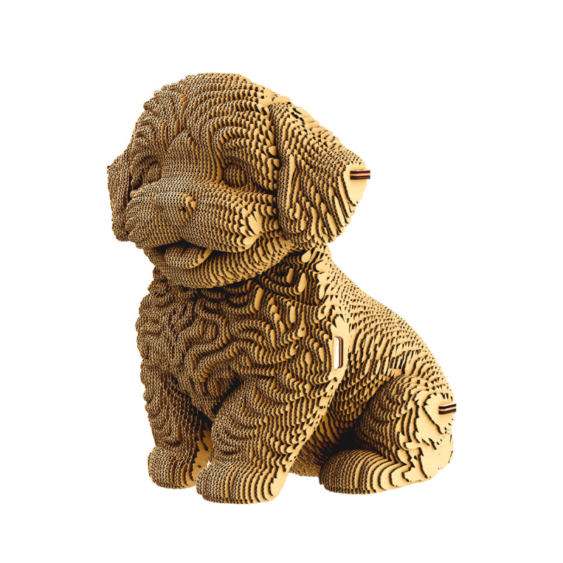 Maltipoo