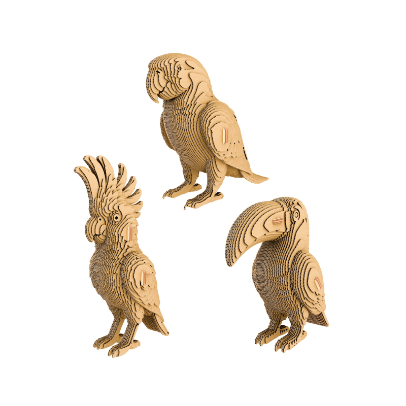 Tropische vogels trio