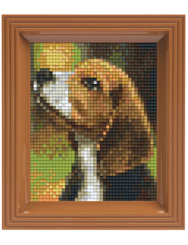 Beagle