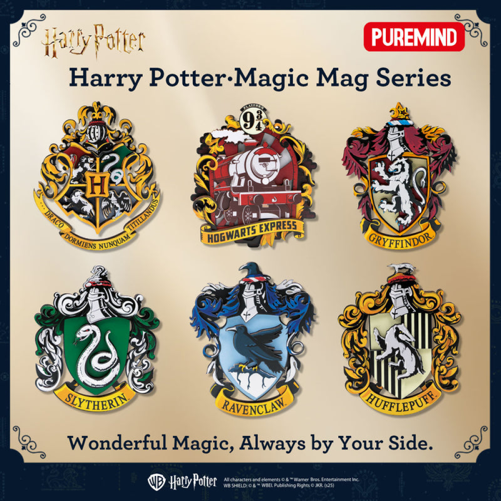 Blindbox magic magneet