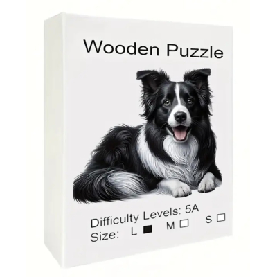 Border Collie, M