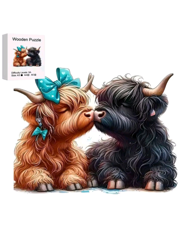 Kussende highland koe, L