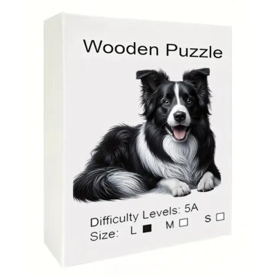 Border Collie, L