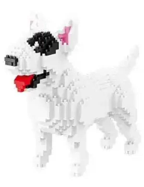 Bull Terriër Bull Terriër