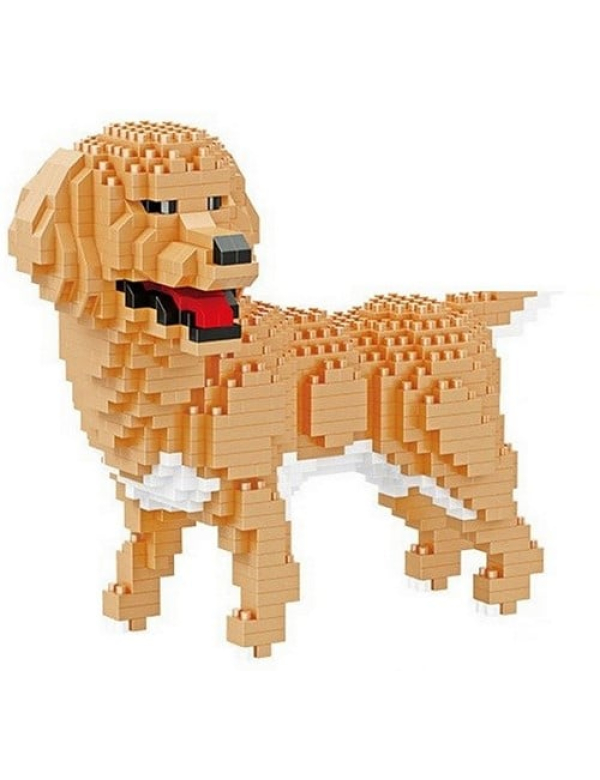 Golden retriever Golden retriever
