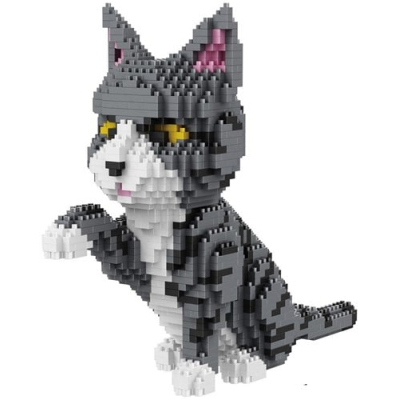 Grijs-witte kat