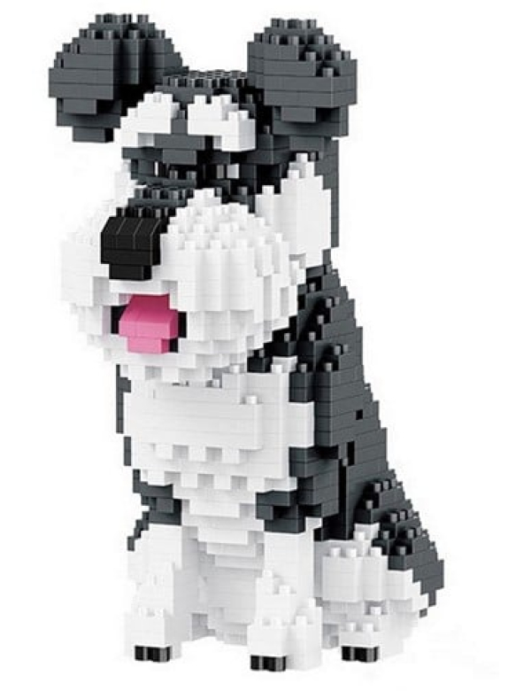 Schnauzer klein