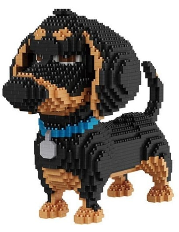Teckel groot