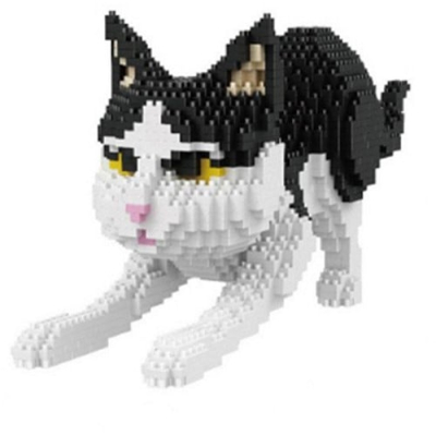 Zwart-witte kat