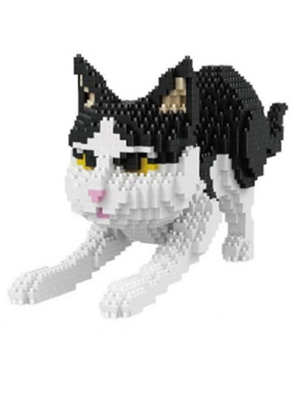 Zwart-witte kat