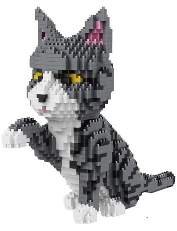Grijs-witte kat Grijs-witte kat