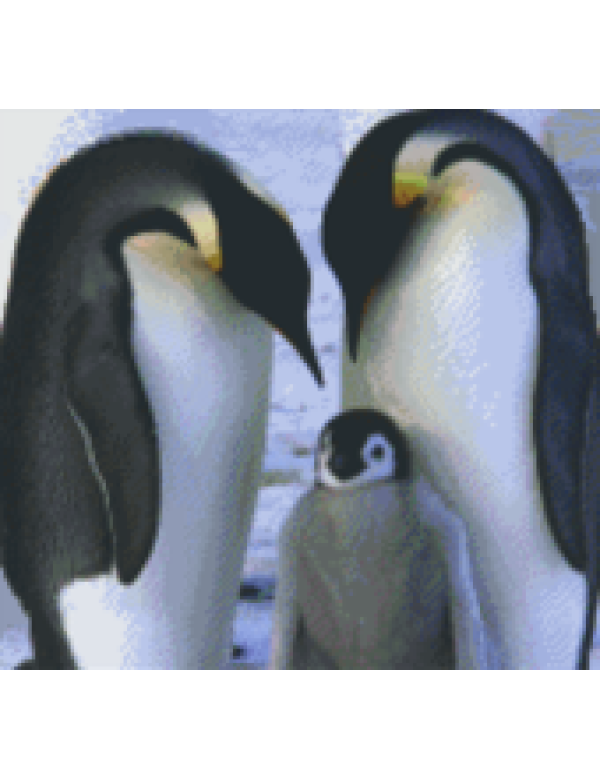 familie pinguin (812009) 12 basisplanen