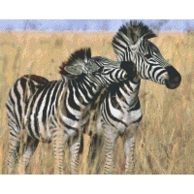 Zebra's (816139) 16 basisplaten