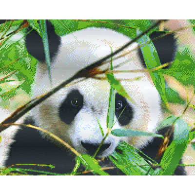 panda (816181) 16 basisplaten