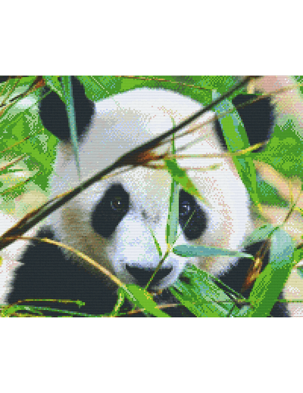 panda (816181) 16 basisplaten