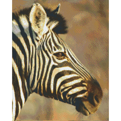 zebra (816186) 16 basisplaten