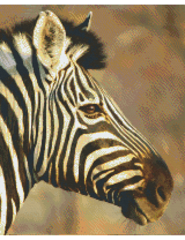 zebra (816186) 16 basisplaten