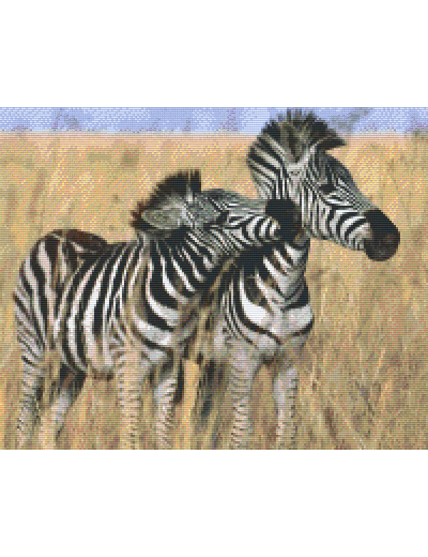 Zebra's (816139) 16 basisplaten