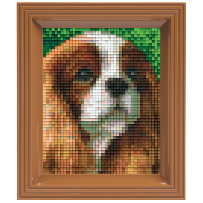 King Charles spaniel (801319) 1 basisplaat