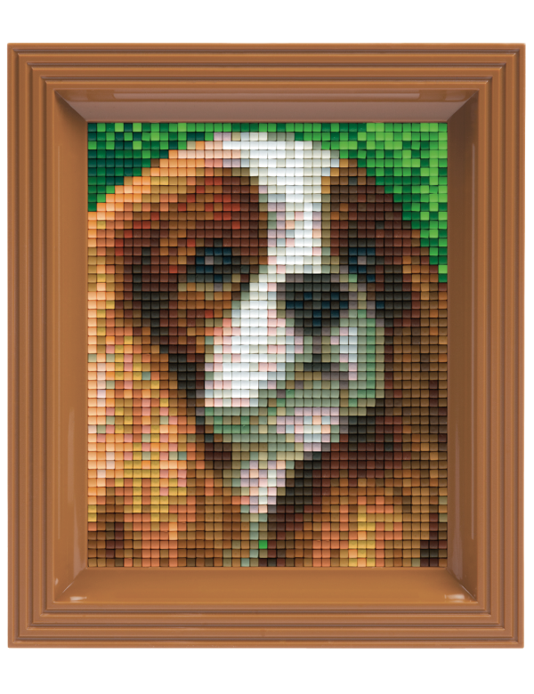 King Charles spaniel (801319) 1 basisplaat