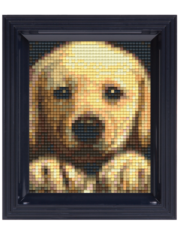 golden retriever pup (801451) 1 basisplaat