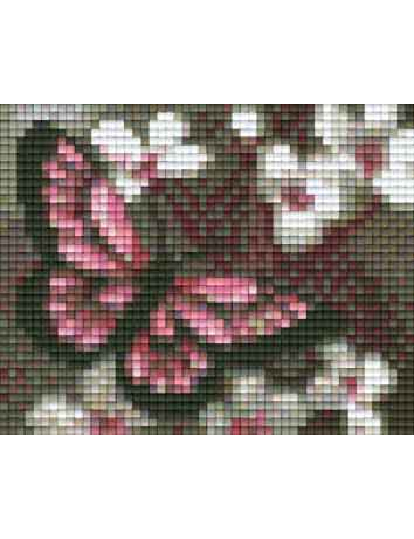 vlinder op witte bloemen (801003) 1 basisplaat vlinder op witte bloemen (801003) 1 basisplaat