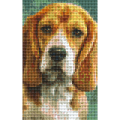 Beagle (802092) 2 basisplaten