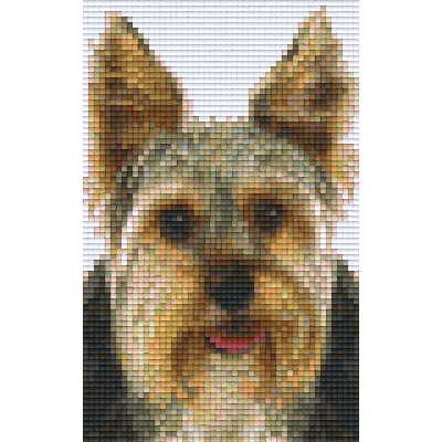 Yorkshire terrier (802094) 2basisplaten