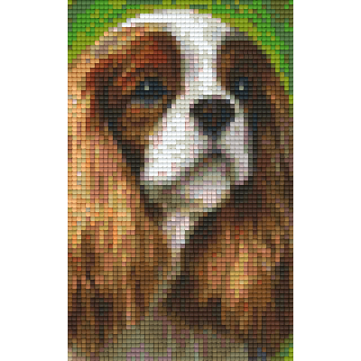 King Charles spaniel (802095) 2 basisplaten