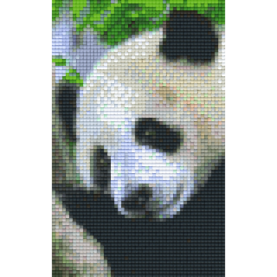 panda (802100) 2 basisplaten