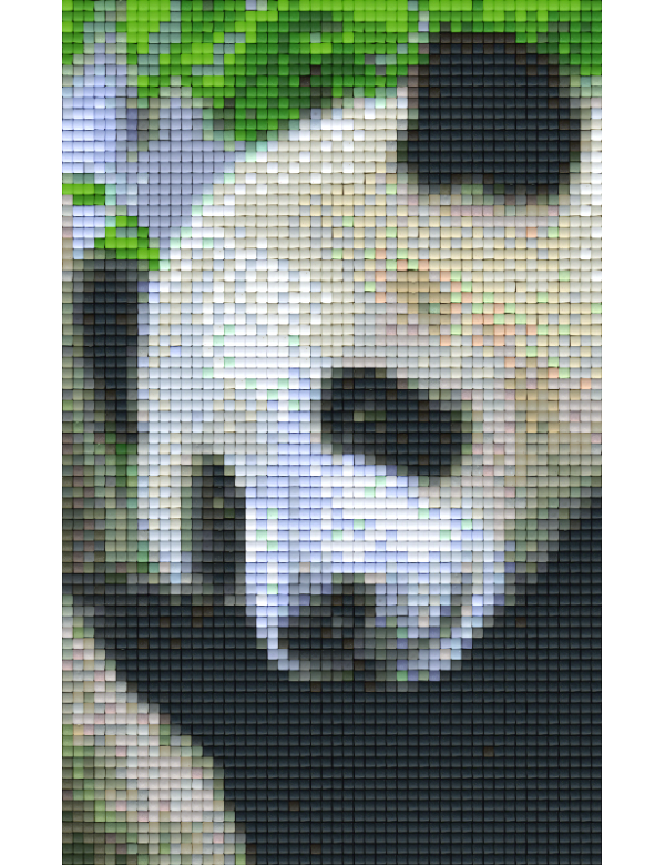 panda (802100) 2 basisplaten