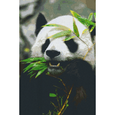 panda (830042) 30 basisplaten