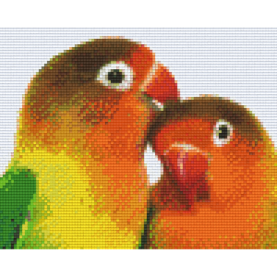 love birds (804046) 4 basisplaten