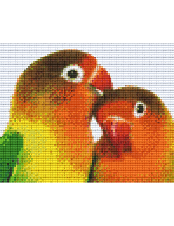 love birds (804046) 4 basisplaten