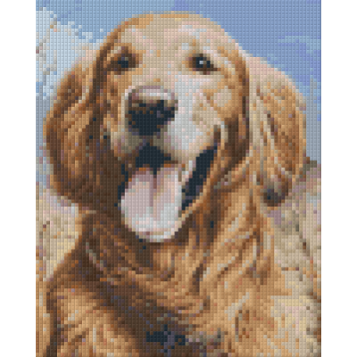 golden retriever (804047) 4 basisplaten