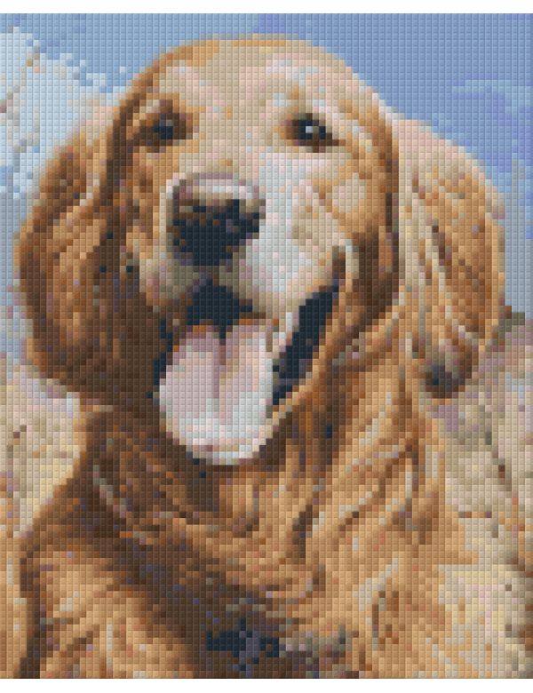 golden retriever (804047) 4 basisplaten