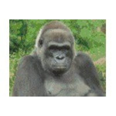 gorilla (804260) 4 basisplaten