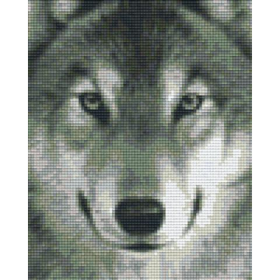 wolf (804290) 4 basisplaten