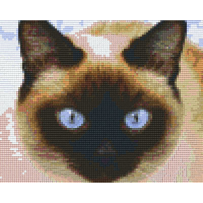 siamese kat (804341) 4 basisplaten