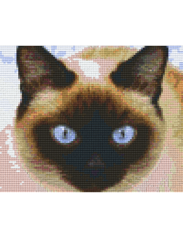 siamese kat (804341) 4 basisplaten