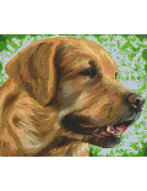 labrador (806157) 6 basisplaten