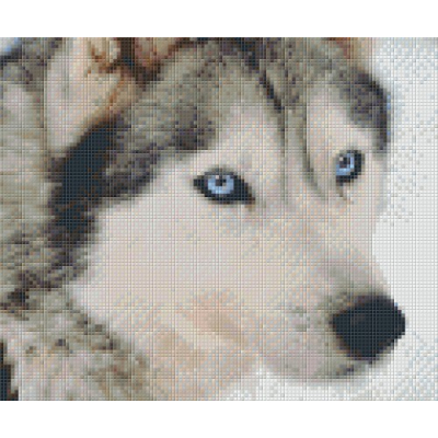 huskey (806145) 6 basisplaten