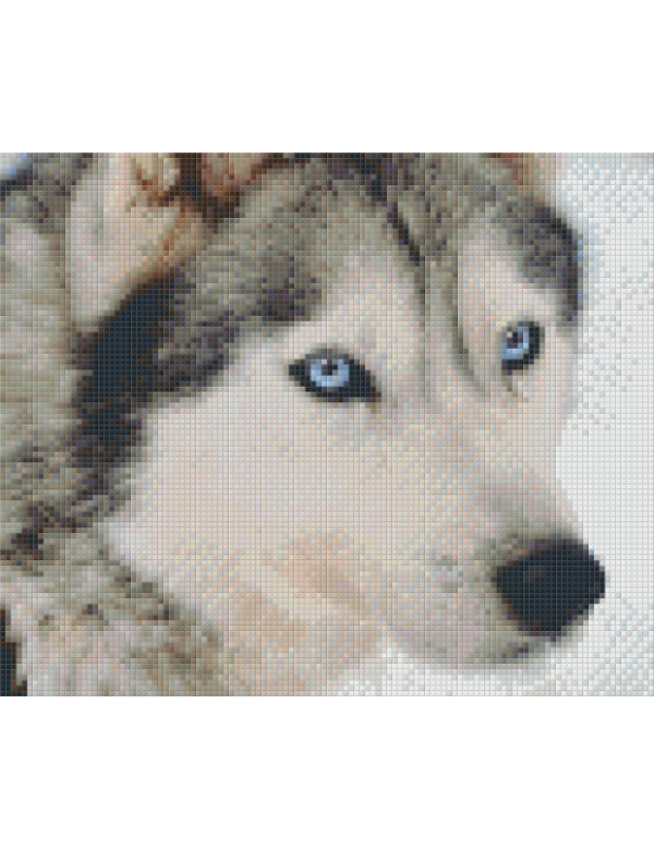 huskey (806145) 6 basisplaten