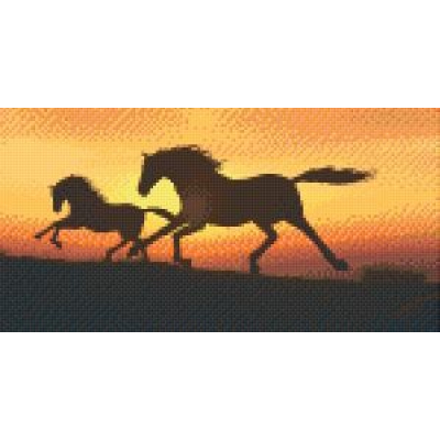 paardensilhouette bij zonsondergang (806014) 6 basisplaten