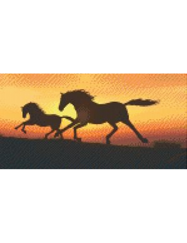 paardensilhouette bij zonsondergang (806014) 6 basisplaten