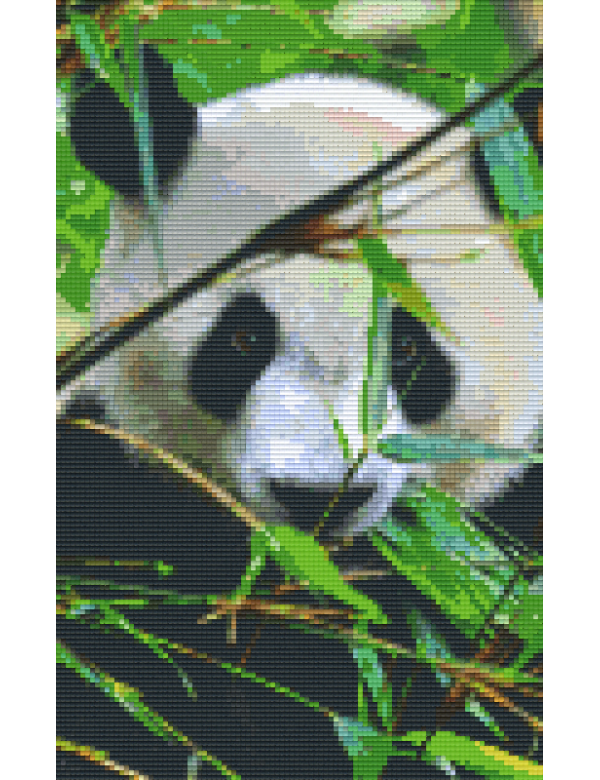 panda met bamboe (808080) 8 basisplaten